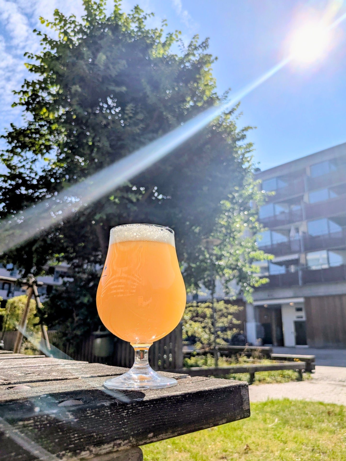 Monumental | New England IPA