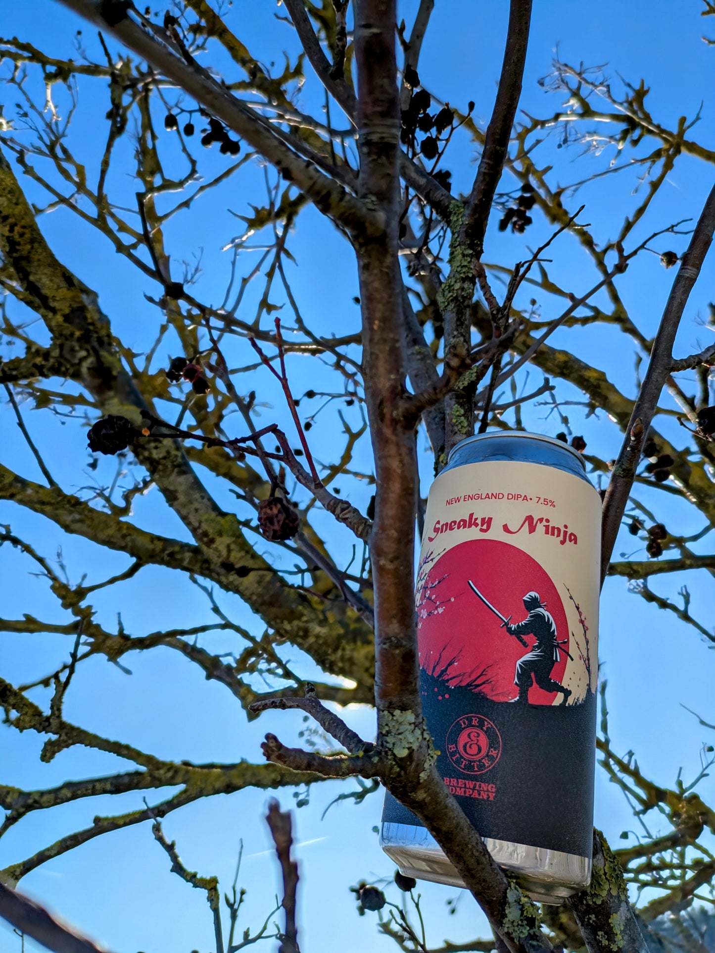 Sneaky Ninja | New England DIPA